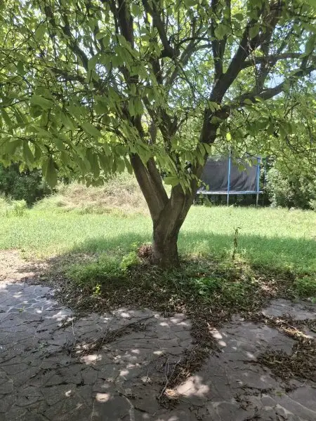 Einzigartig, arbeiten und wohnen in einem