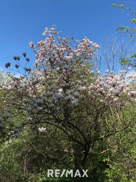 1170 / Idyllisches GRUNDSTÜCK (KLG) Eselstiege
