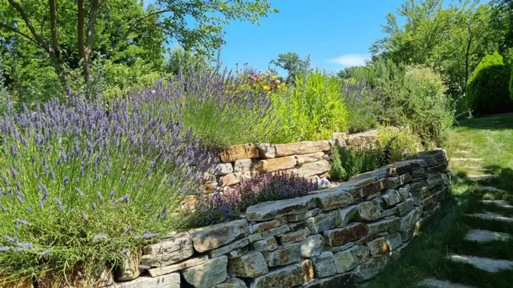 Luxus und Wohlbefinden - Traumvilla mit uneinsehbarem Garten in Grünlage