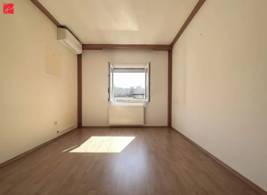 Einfamilienhaus: Großer Garten, Tiefgarage & zwei Carports!