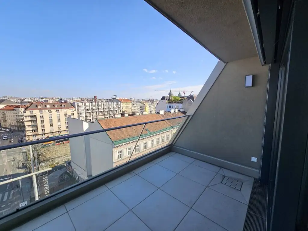 Über den Dächern von Wien  (Video)
