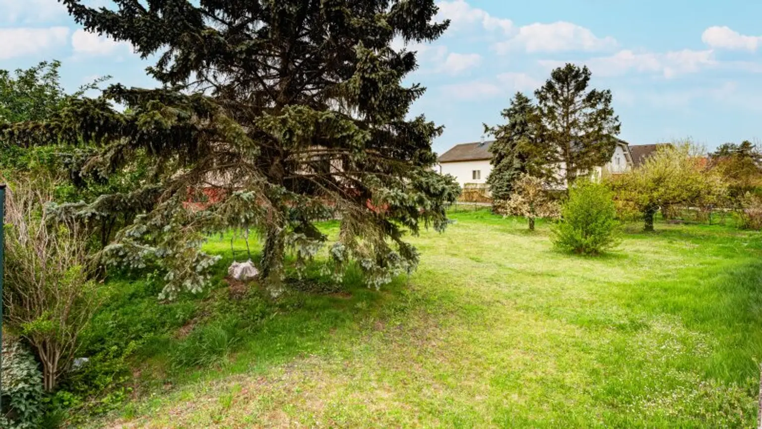 Blick aufs Grundstück