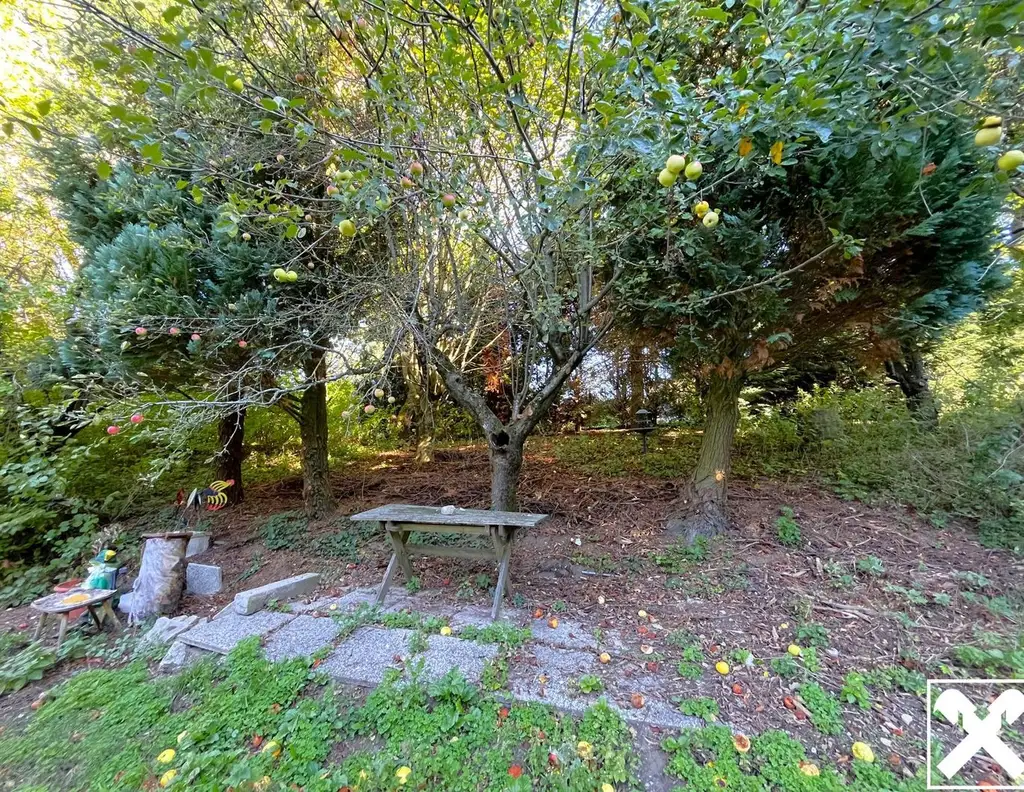 Natur pur! Grundstück mit Abrissobjekt!