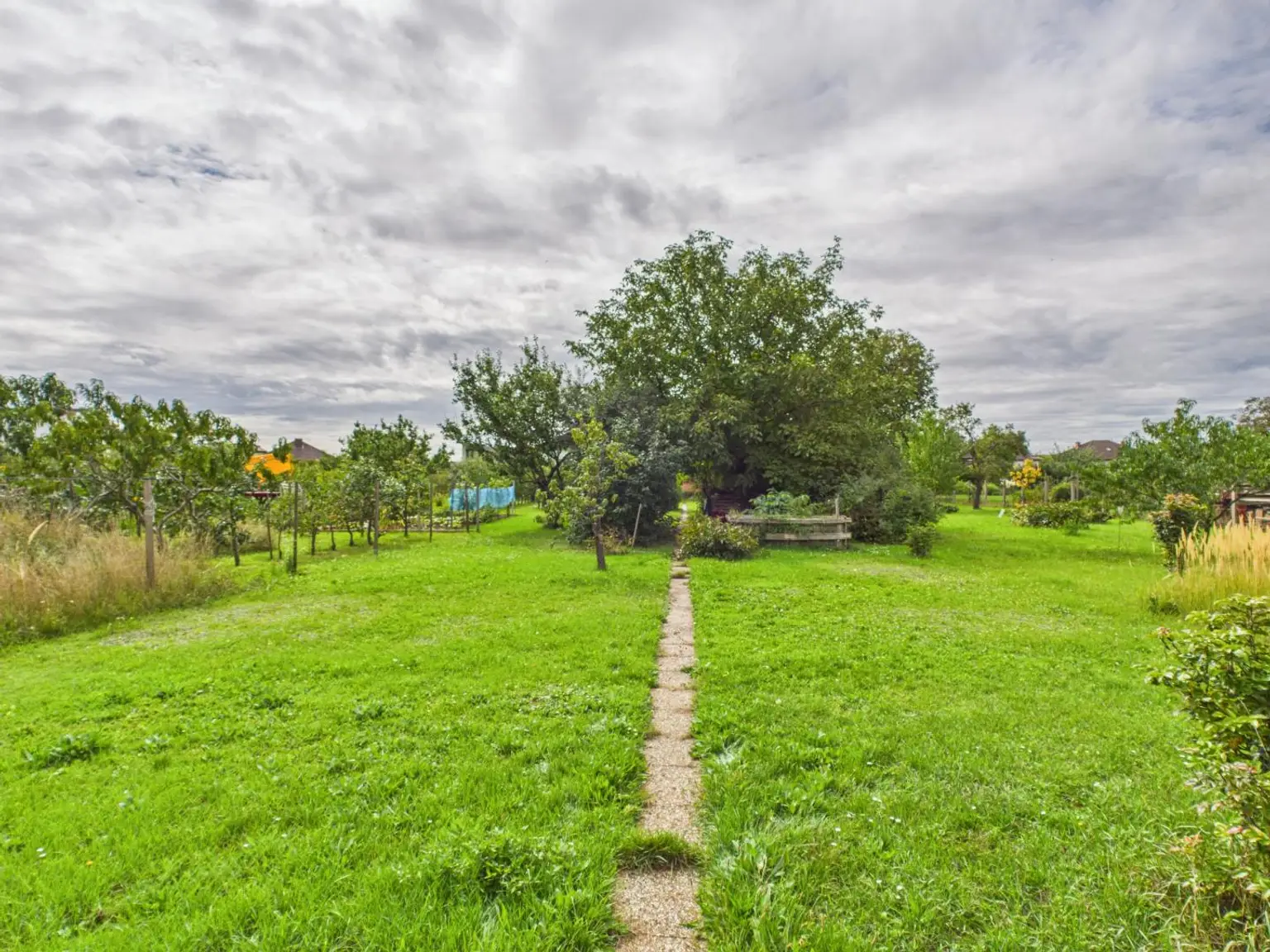 Ansicht Garten - Bild 1