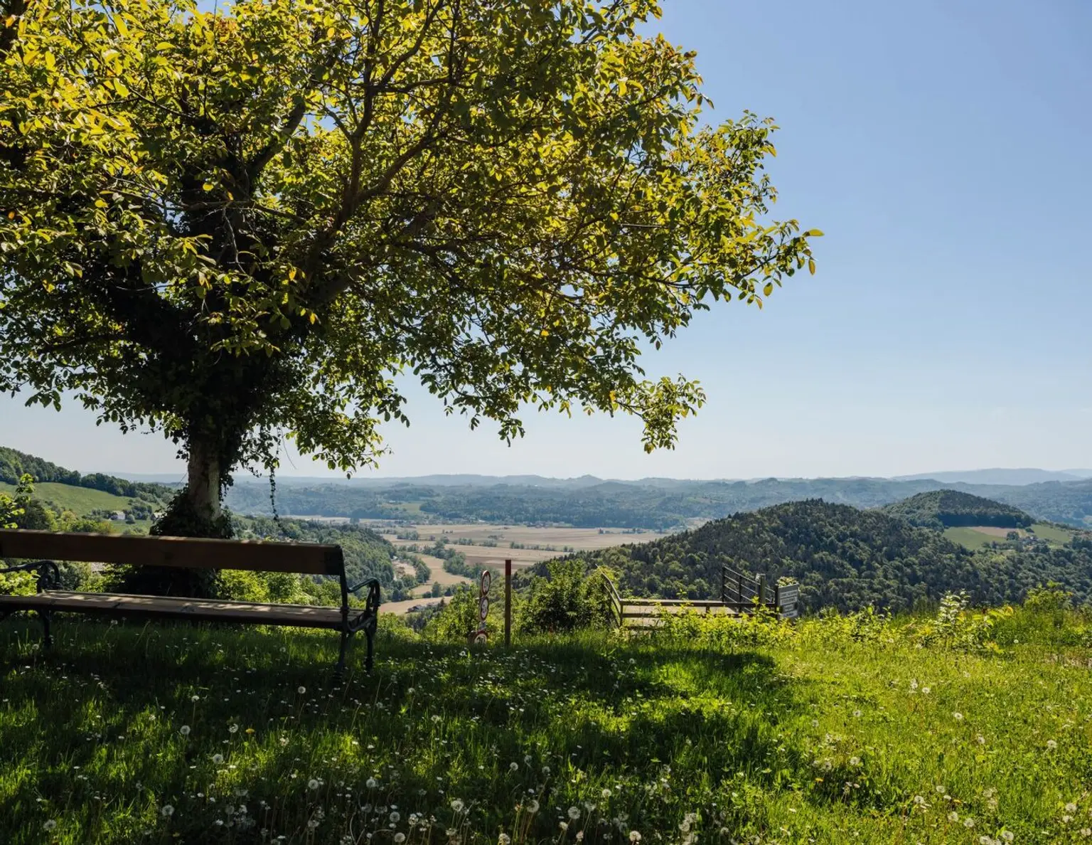 Sonniger Baugrund mit Panorama-Weitblick inmitten der Weinregion!