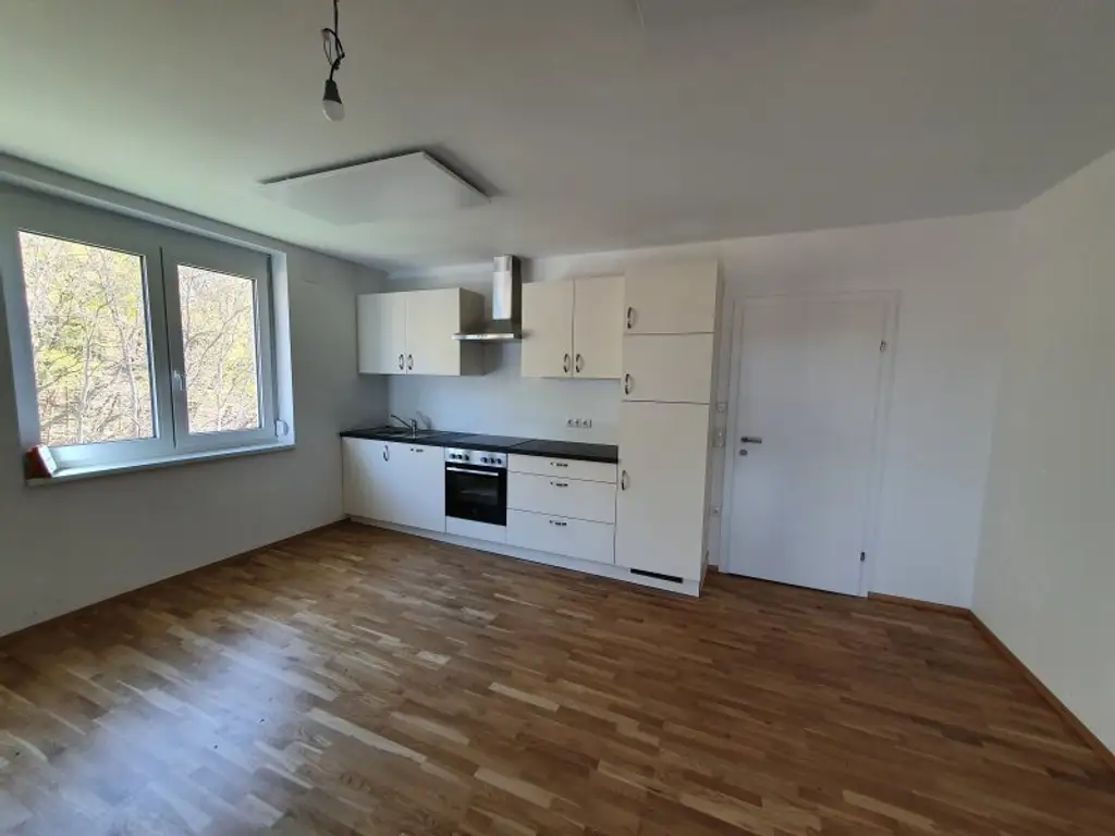 +Sanierte Erstbezugs-Mietwohnung mit Lift, nahe Oberpullendorf! Top 16+