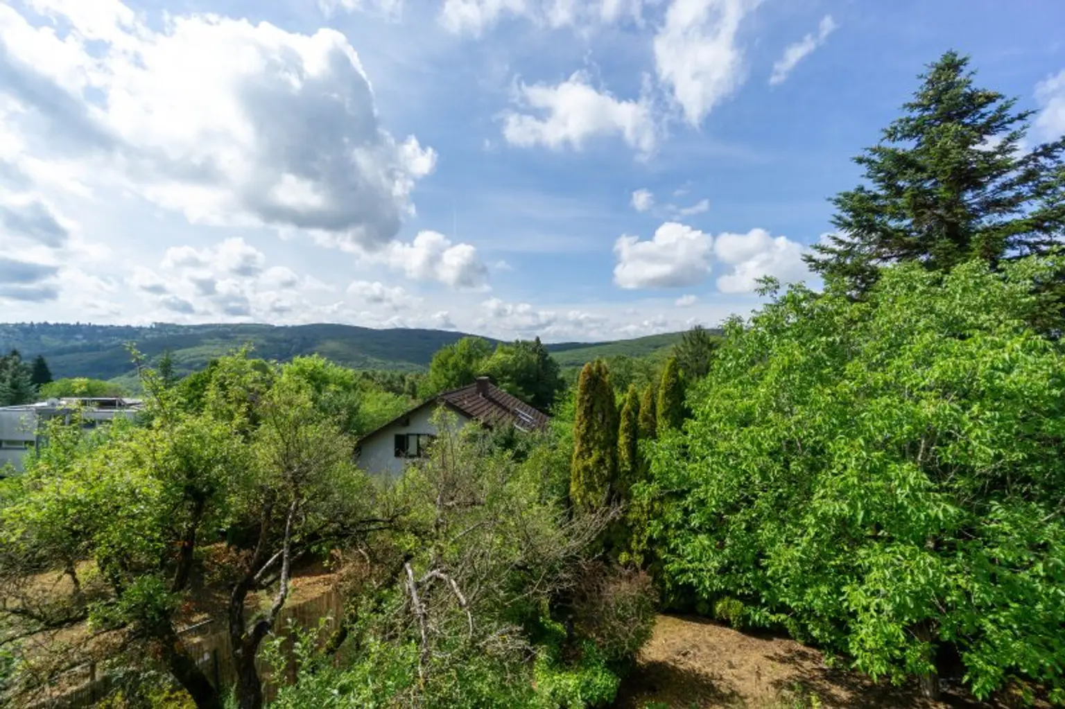Ausblick vom Obergeschoß