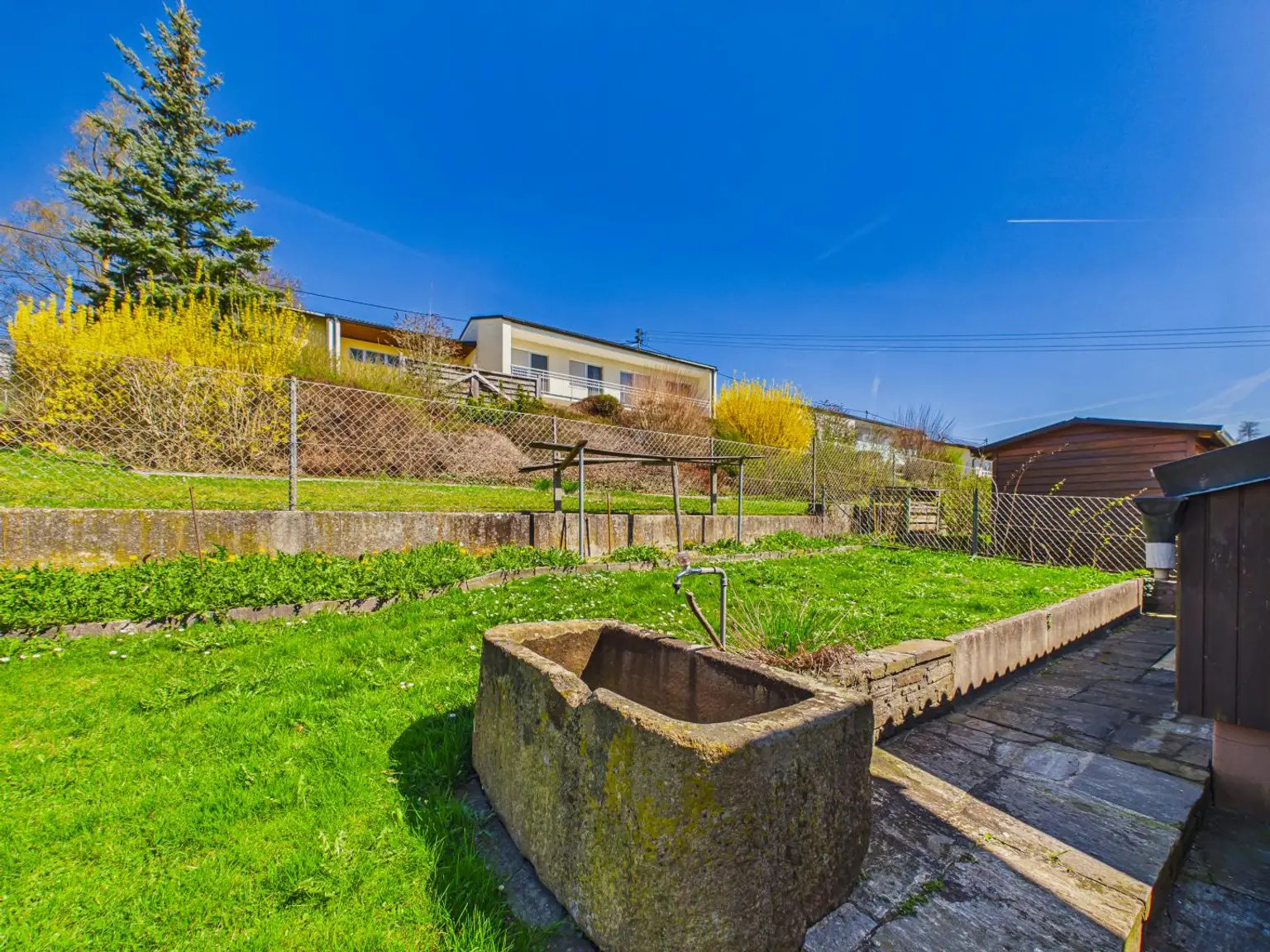 Gartenfoto 7