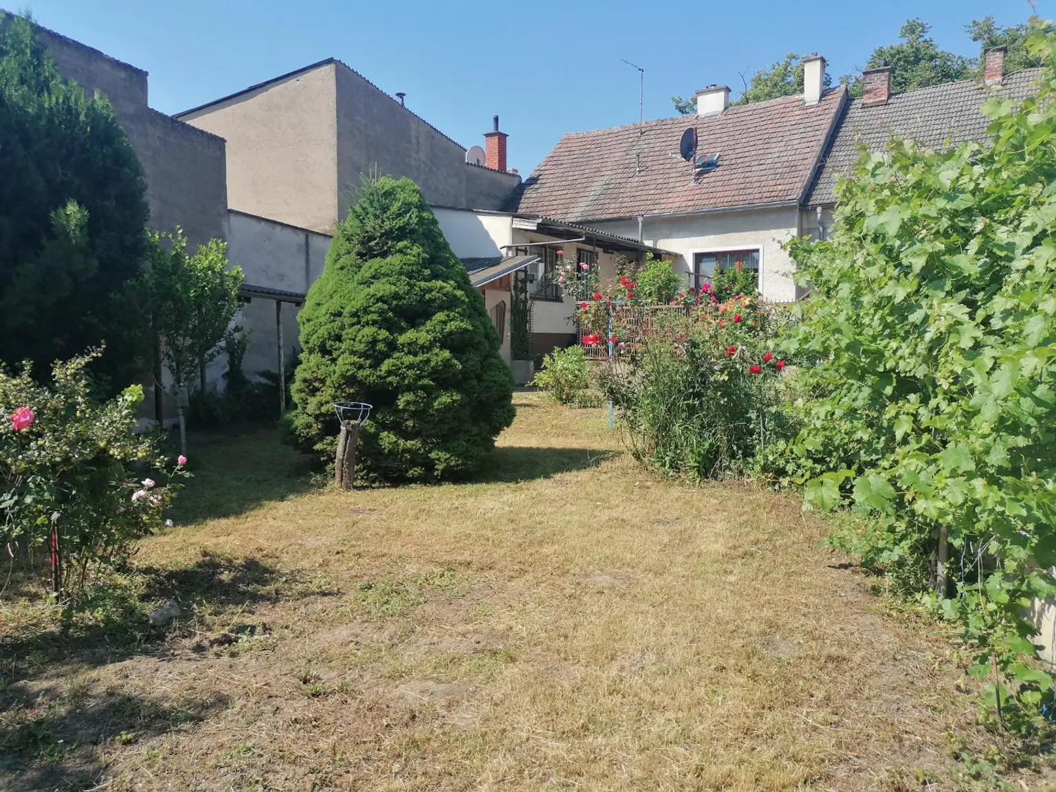 Einfamilienhaus mit kleinem Garten