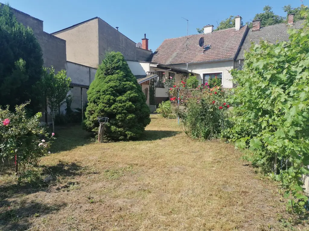 Einfamilienhaus mit kleinem Garten