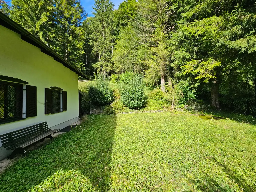 Naturnah wohnen – Einfamilienhaus am Waldrand
