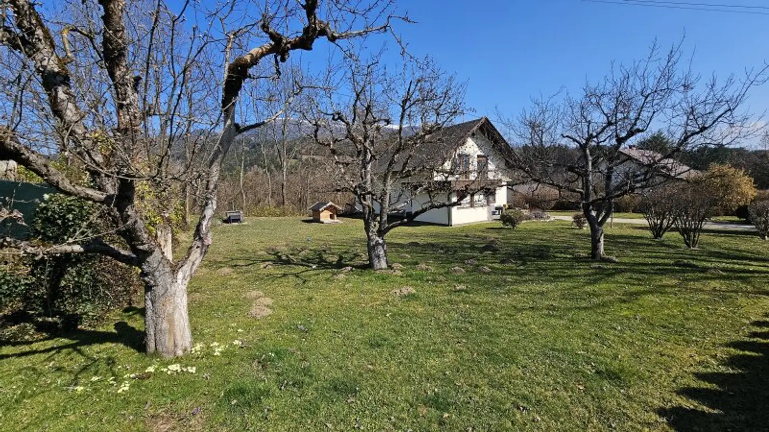 Außenansicht - Garten - Haus - Lieserbrücke - kaufen