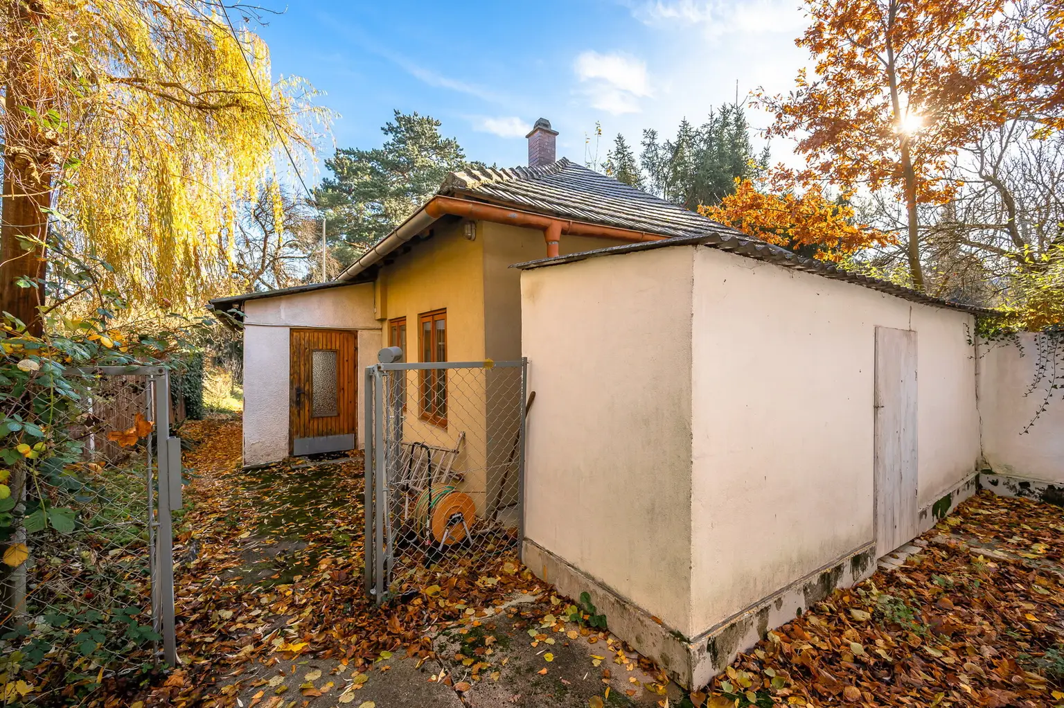 Altbestand im Grünland