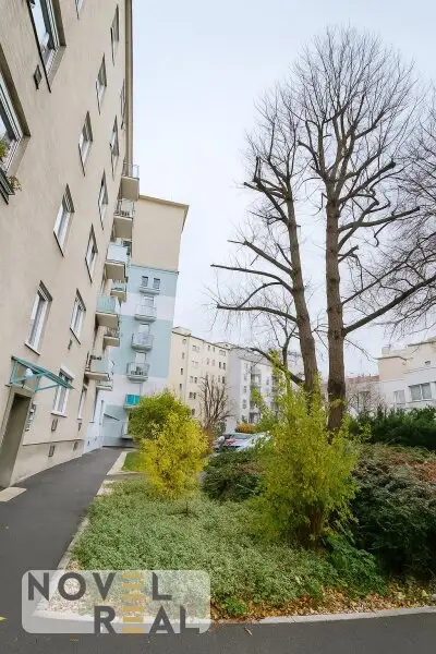 Charmante 3-Zimmer-Wohnung mit viel Licht – ruhig gelegen in Floridsdorf!