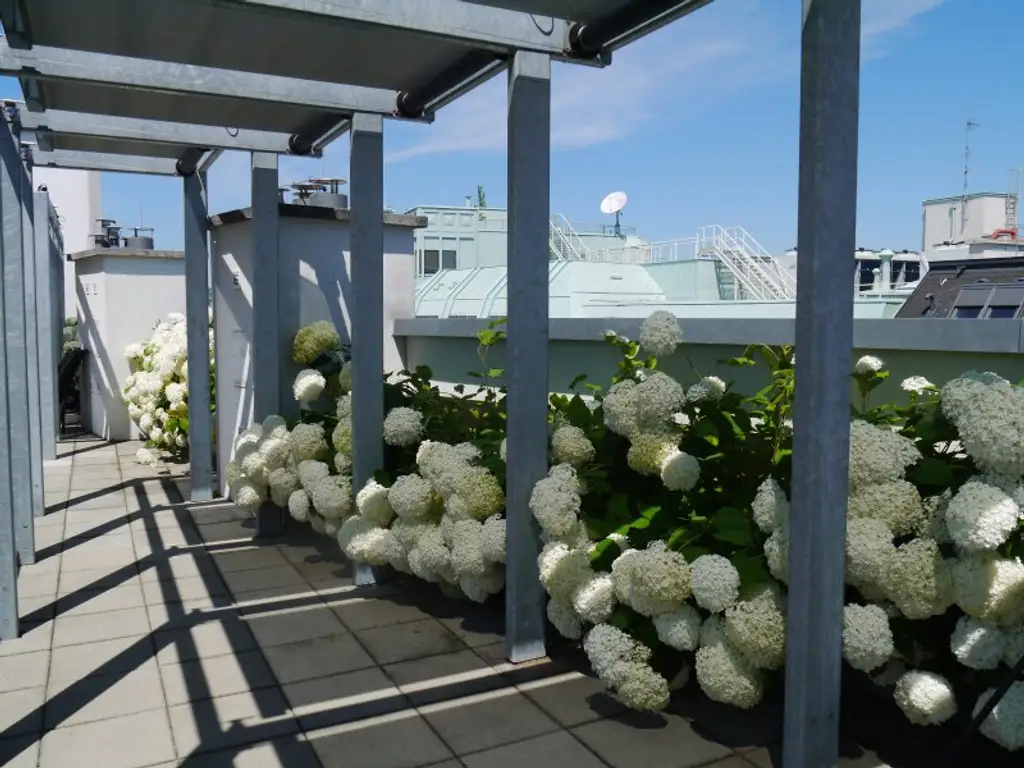 DG-WOHNUNG MIT PRIVATER TERRASSE NÄHE STEPHANSPLATZ