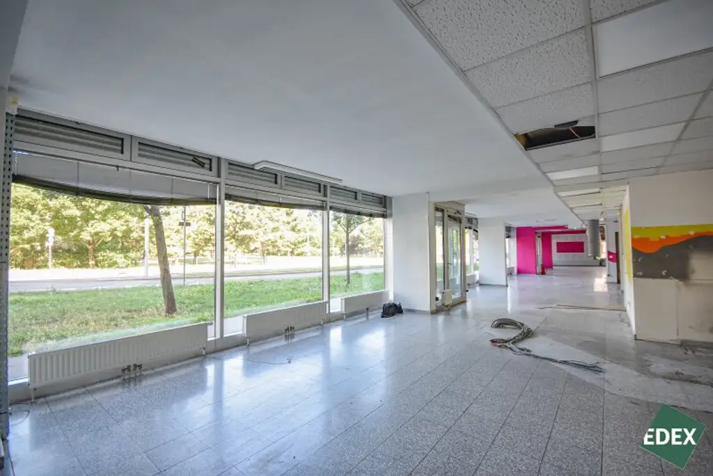 Geschäftsfläche – 310 m² am Erlaaer Platz