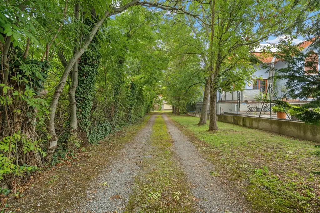 "Großzügiger Bungalow mit Wiennähe und XXL-Garage"