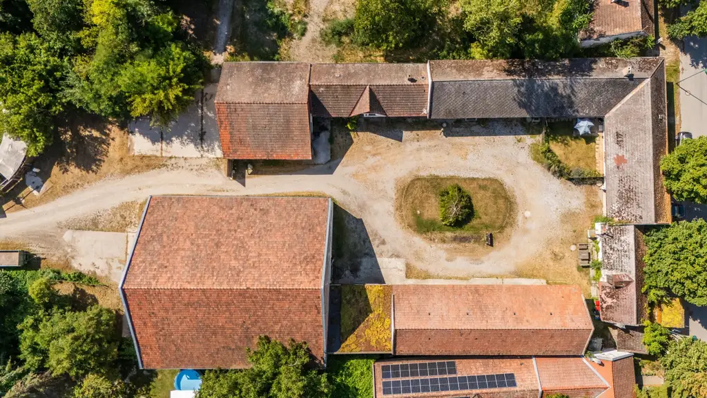 "Großzügiges Grundstück mit Pferdehof und sanierungsbedürftigem Haus – nur Minuten von Wien entfernt"