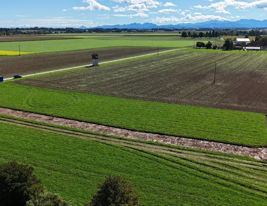 Sonniges Baugrundstück, eben und in ruhiger Lage | Steinerkirchen Frohnhofen | GST-Nr. 1102/5