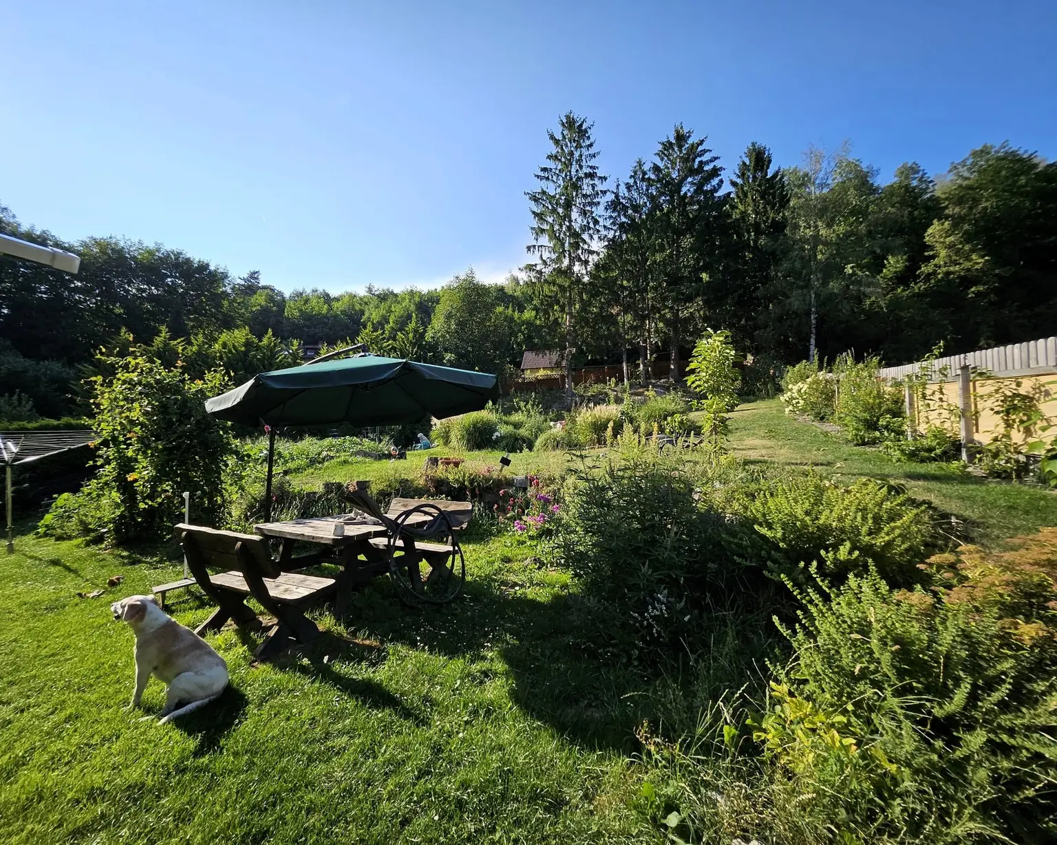 Garten