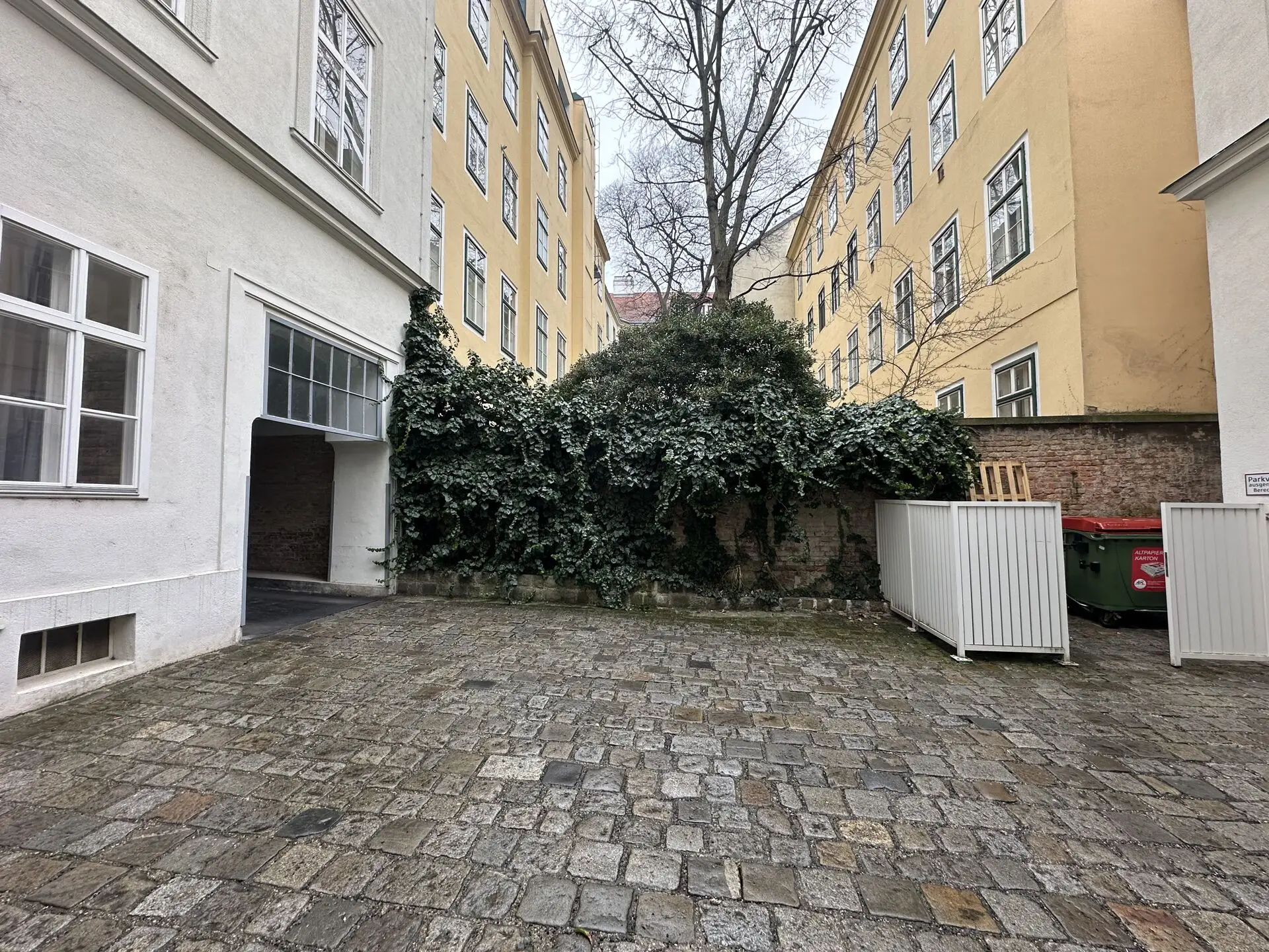 20260211_114907368_iOS