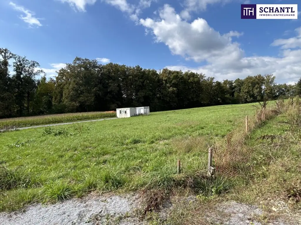 TRAUMHAFTES Grundstück für Ihr EINFAMILIENHAUS! TOP Anbindung! VOLLERSCHLOSSENES und FLACHES BAUGRUNDSTÜCK!