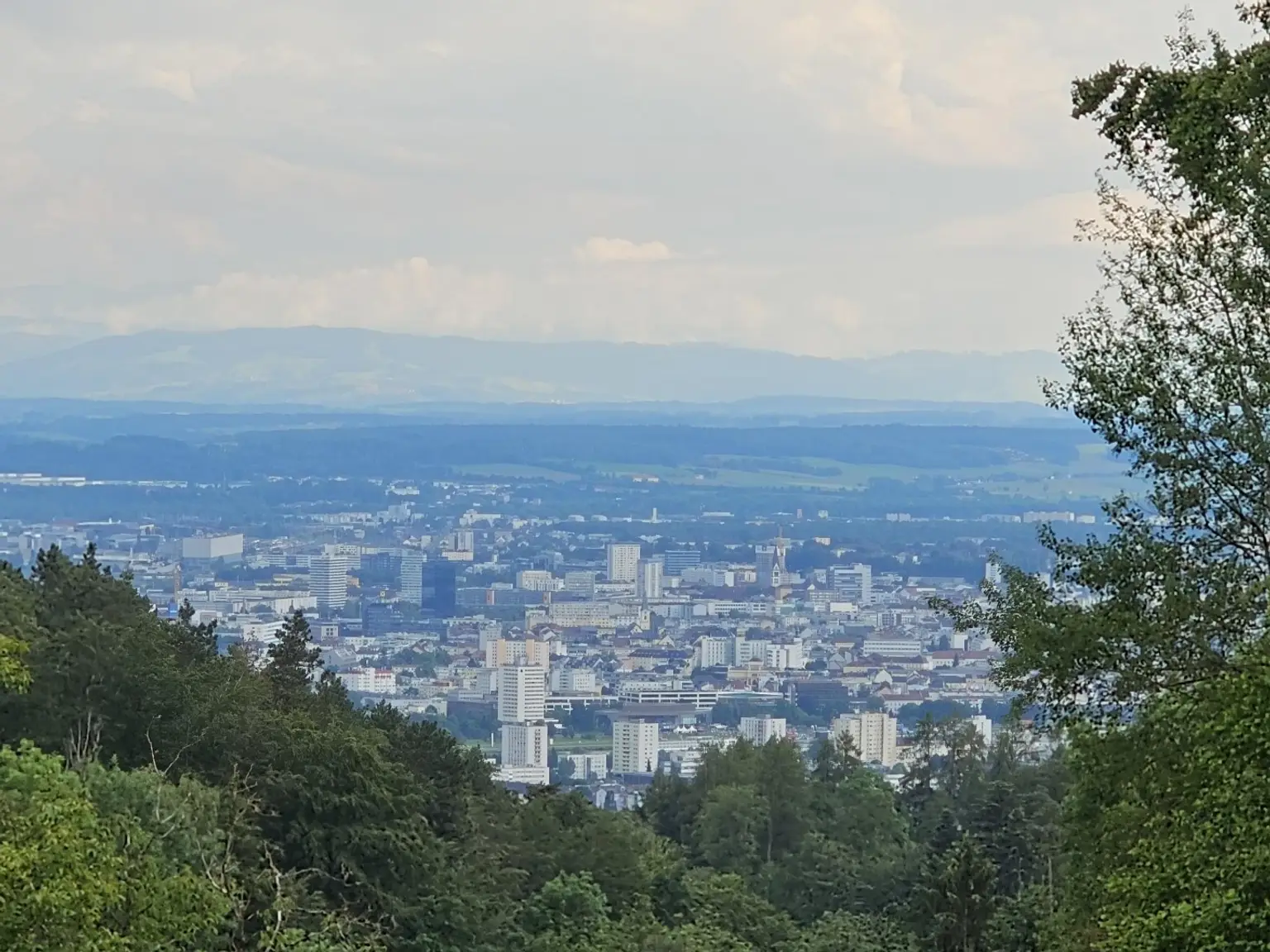 Großzügiges Grundstücksareal für Investoren, Bauträger, privaten Wohnbau