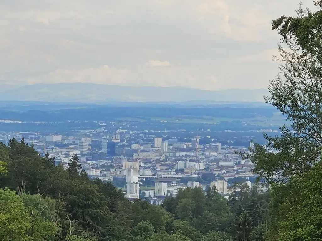 Großzügiges Grundstücksareal für Investoren, Bauträger, privaten Wohnbau