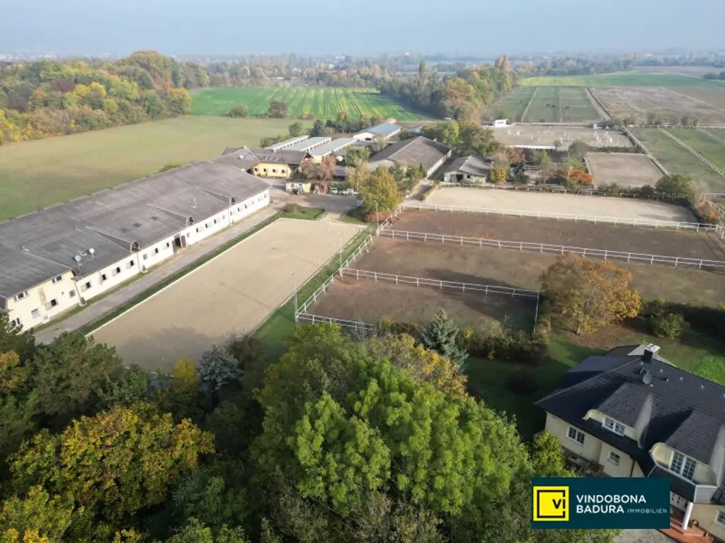 Exklusive Reitsportanlage vor den Toren Wiens – 145 Boxen | Reithallen | Reitplätze | Koppeln | Villa & Personalwohnungen