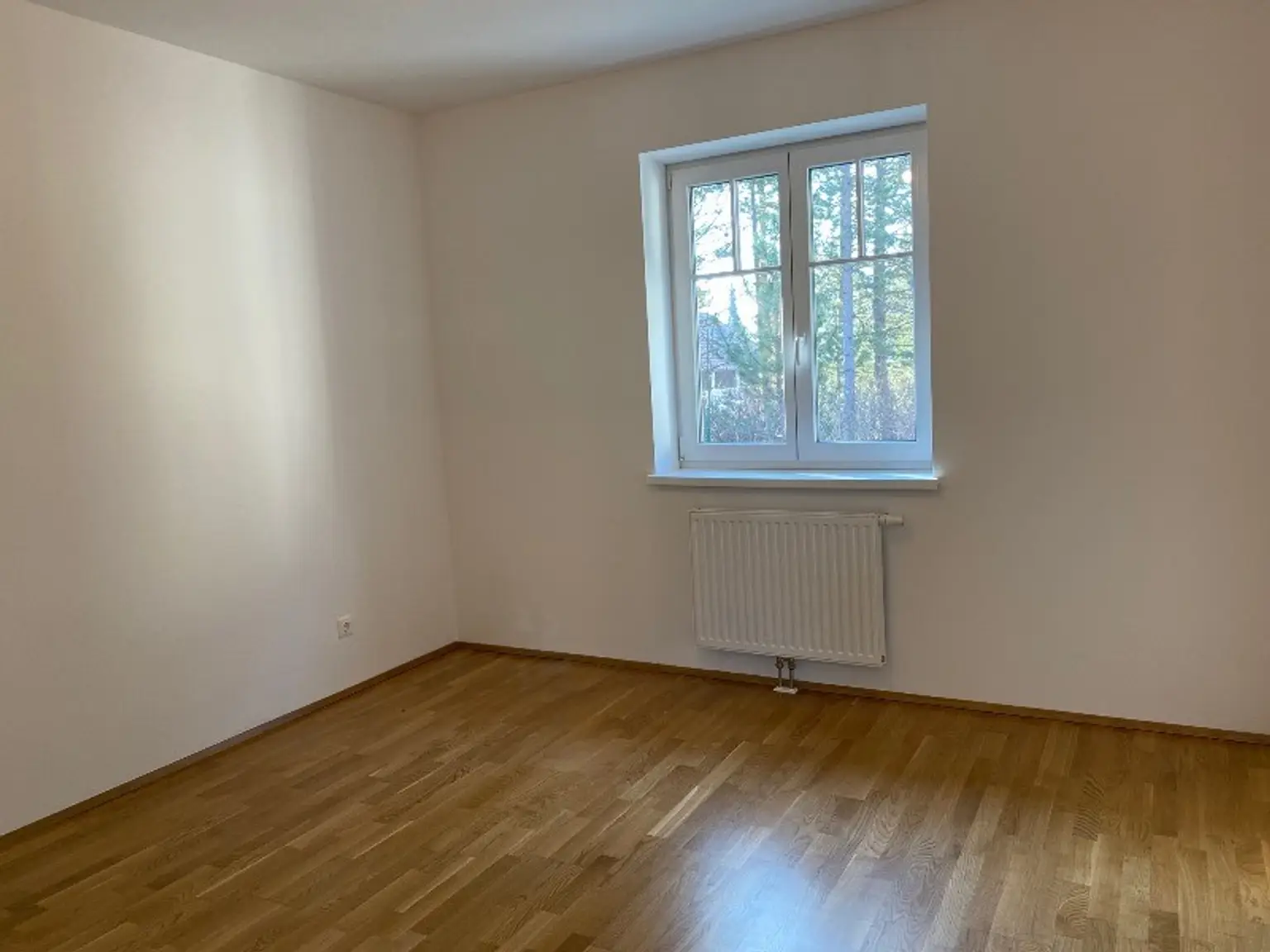 Zimmer 2