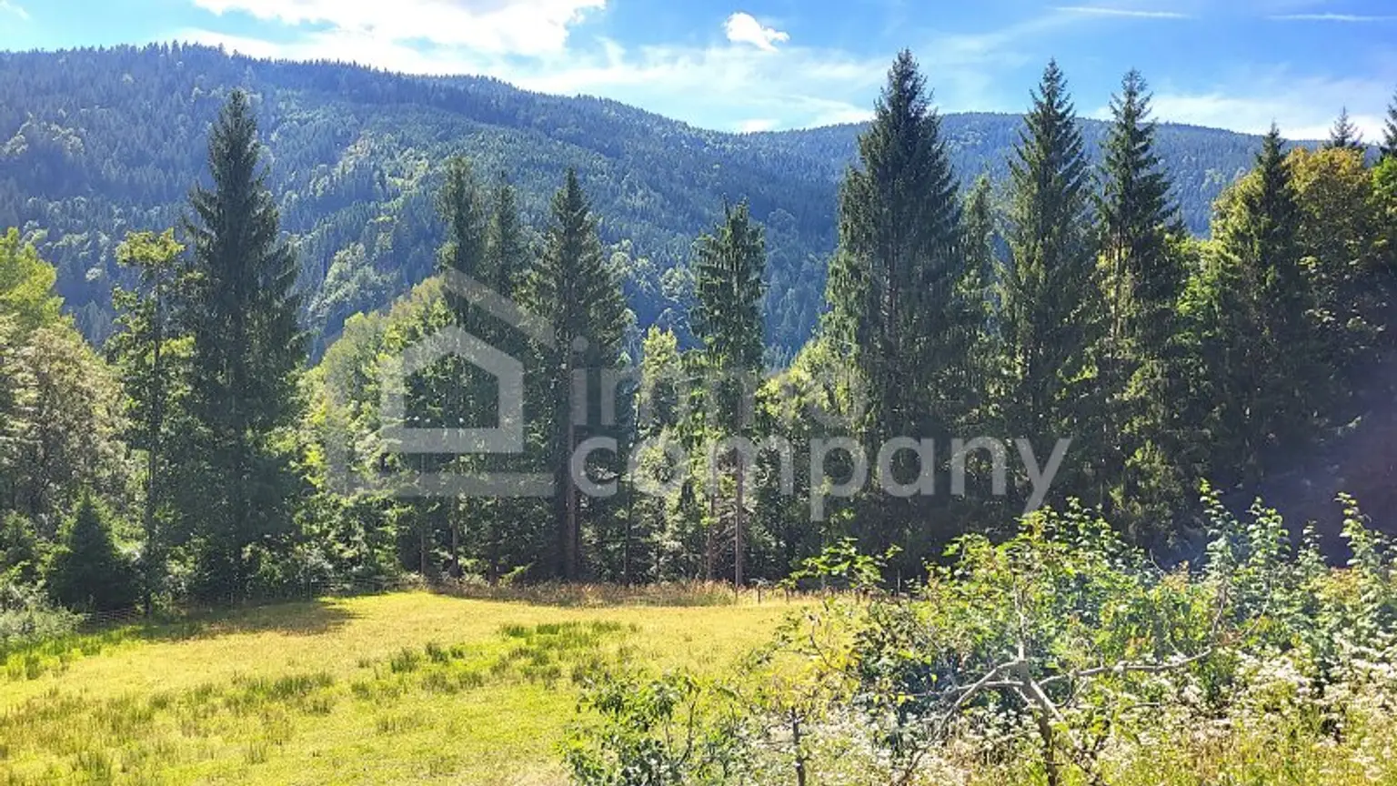 Wohnen direkt am Waldrand mit Panoramablick