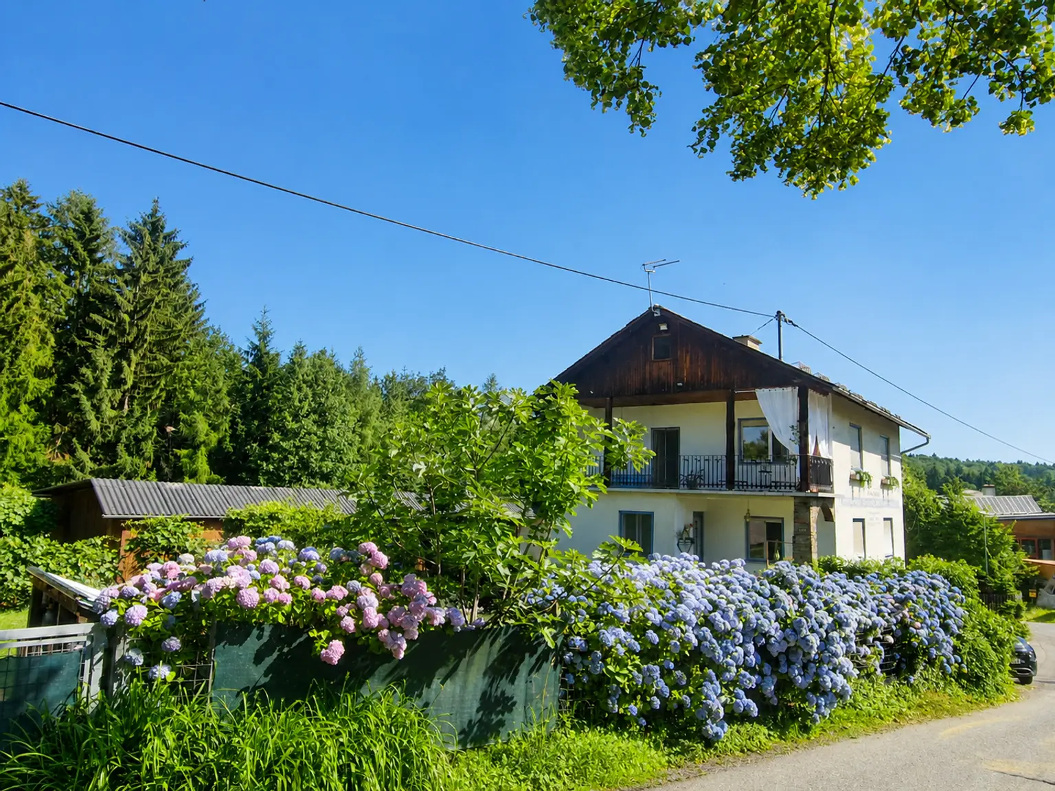Haus im Sommer 2