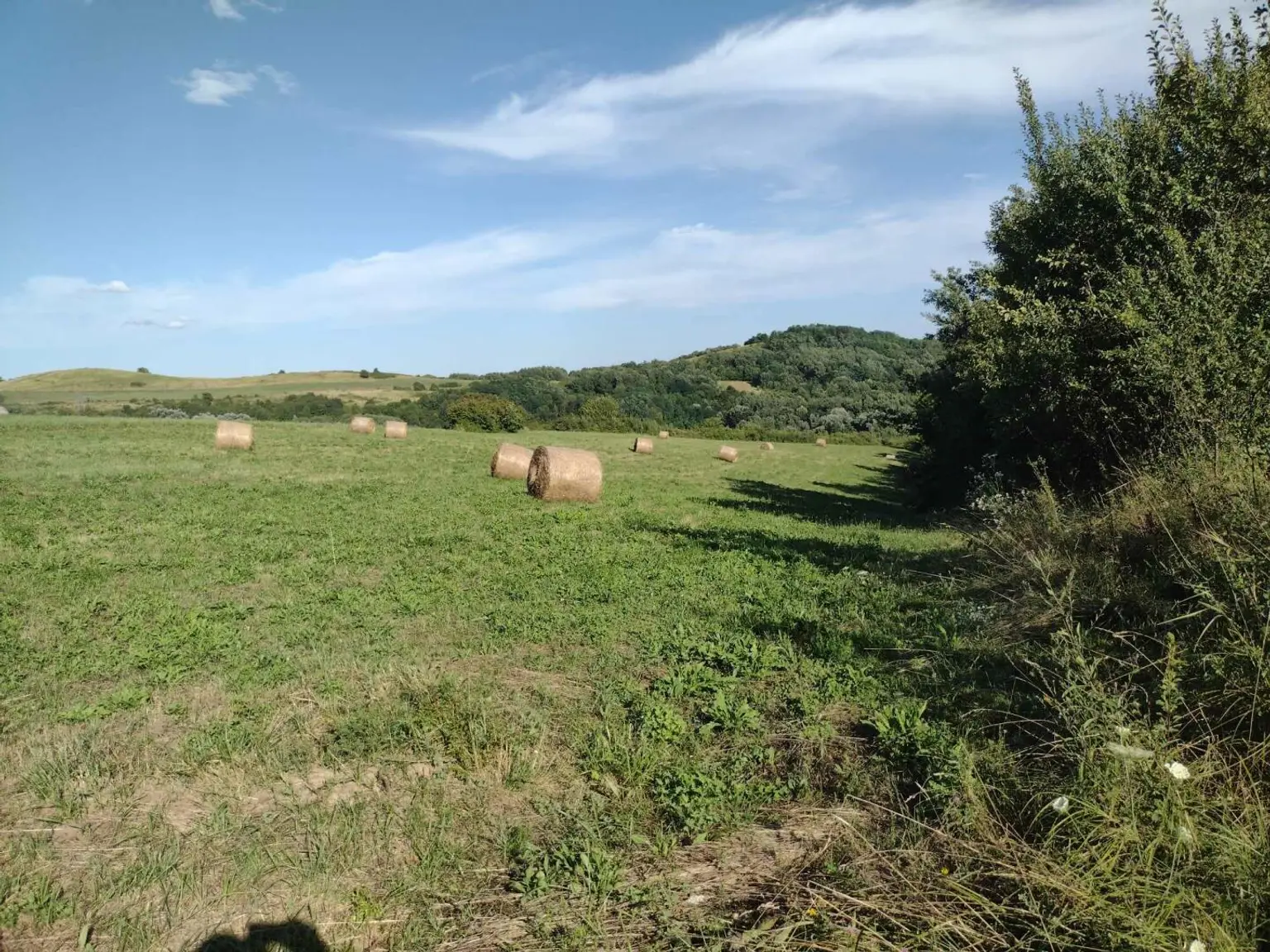 Landwirtschaftliches Anwesen Suhopolje 10 ha - 28