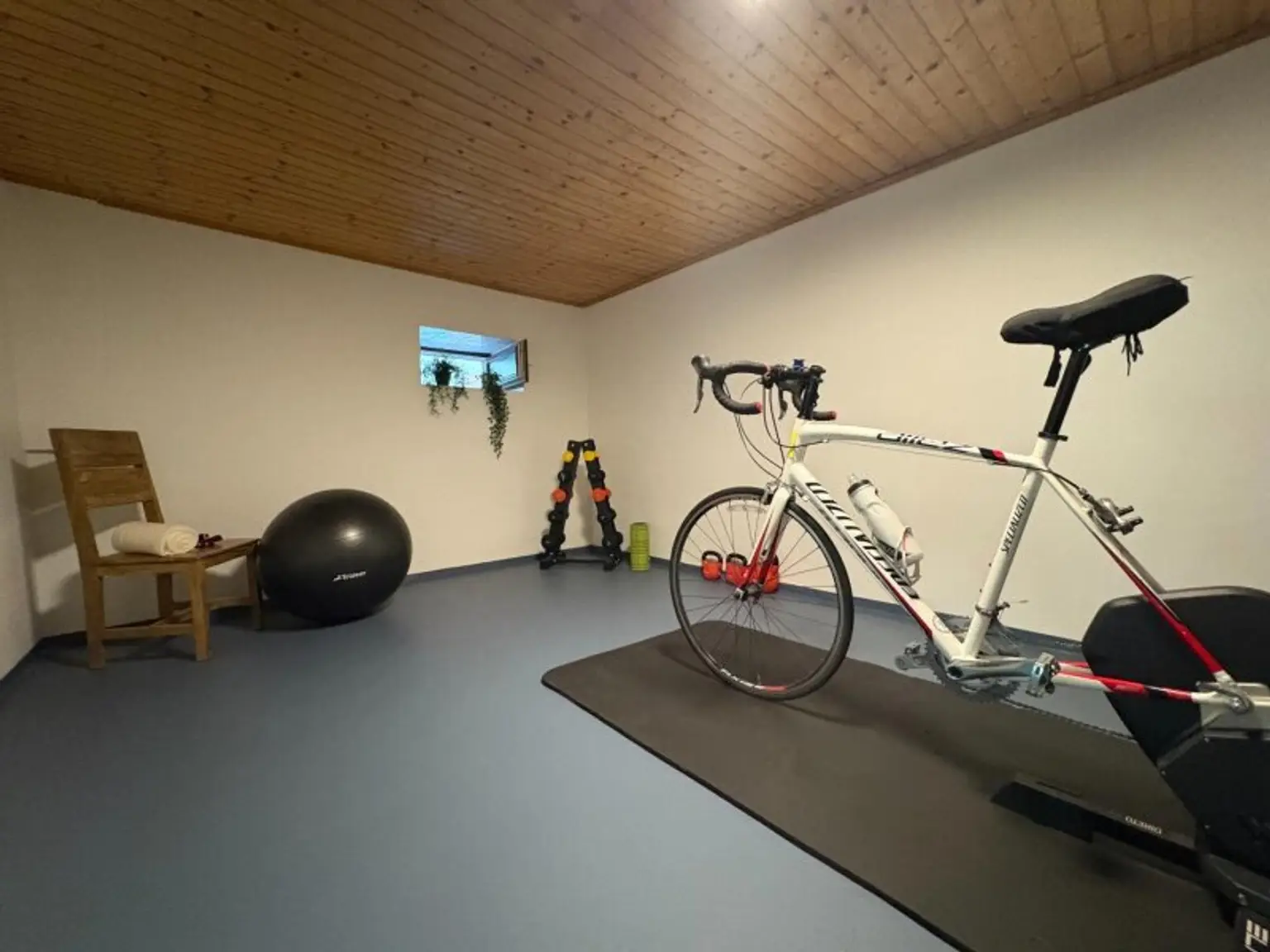 Fitness