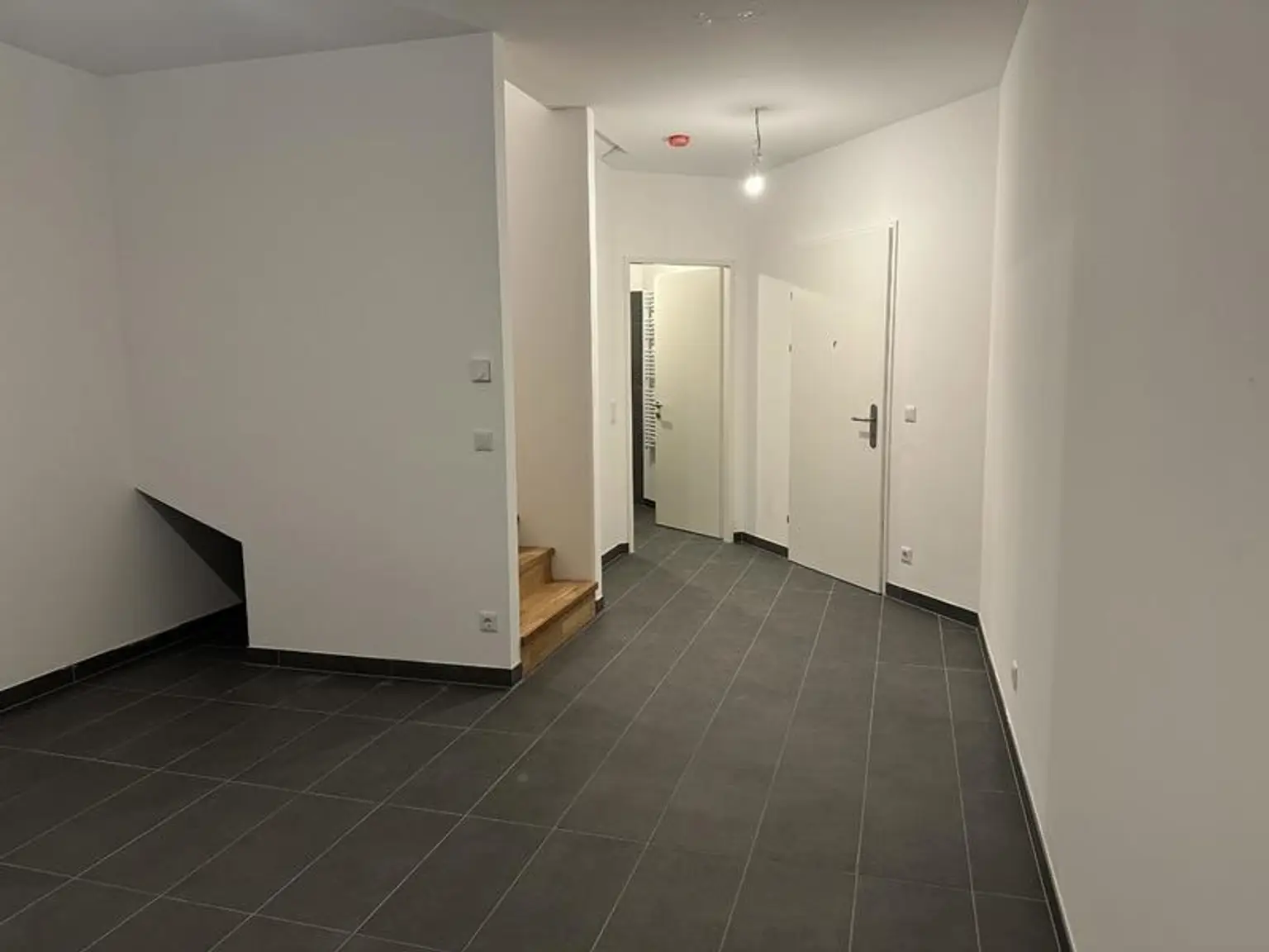 einen Katzensprung von Wien entfernt