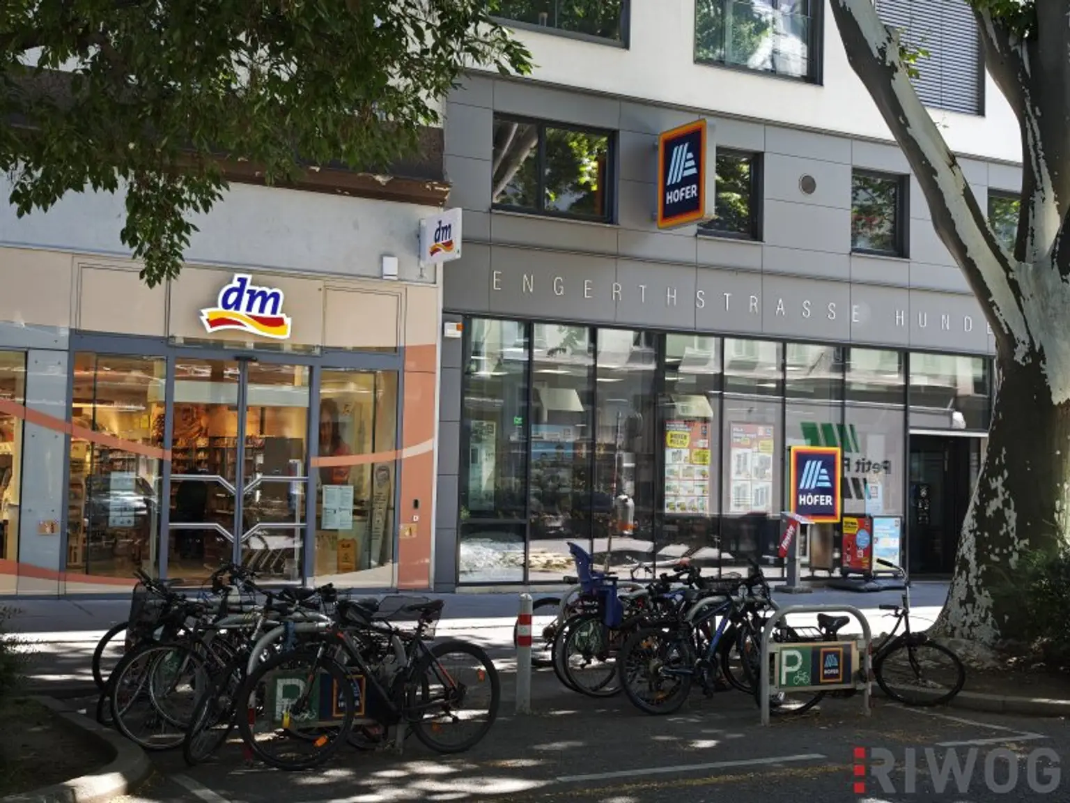 Helle Neubauwohnung mit Parkblick in U-Bahnnähe bei Donauinsel | Vermietung im freien Mietzins möglich | Tiefgaragenplatz und Einbauküche vorhanden