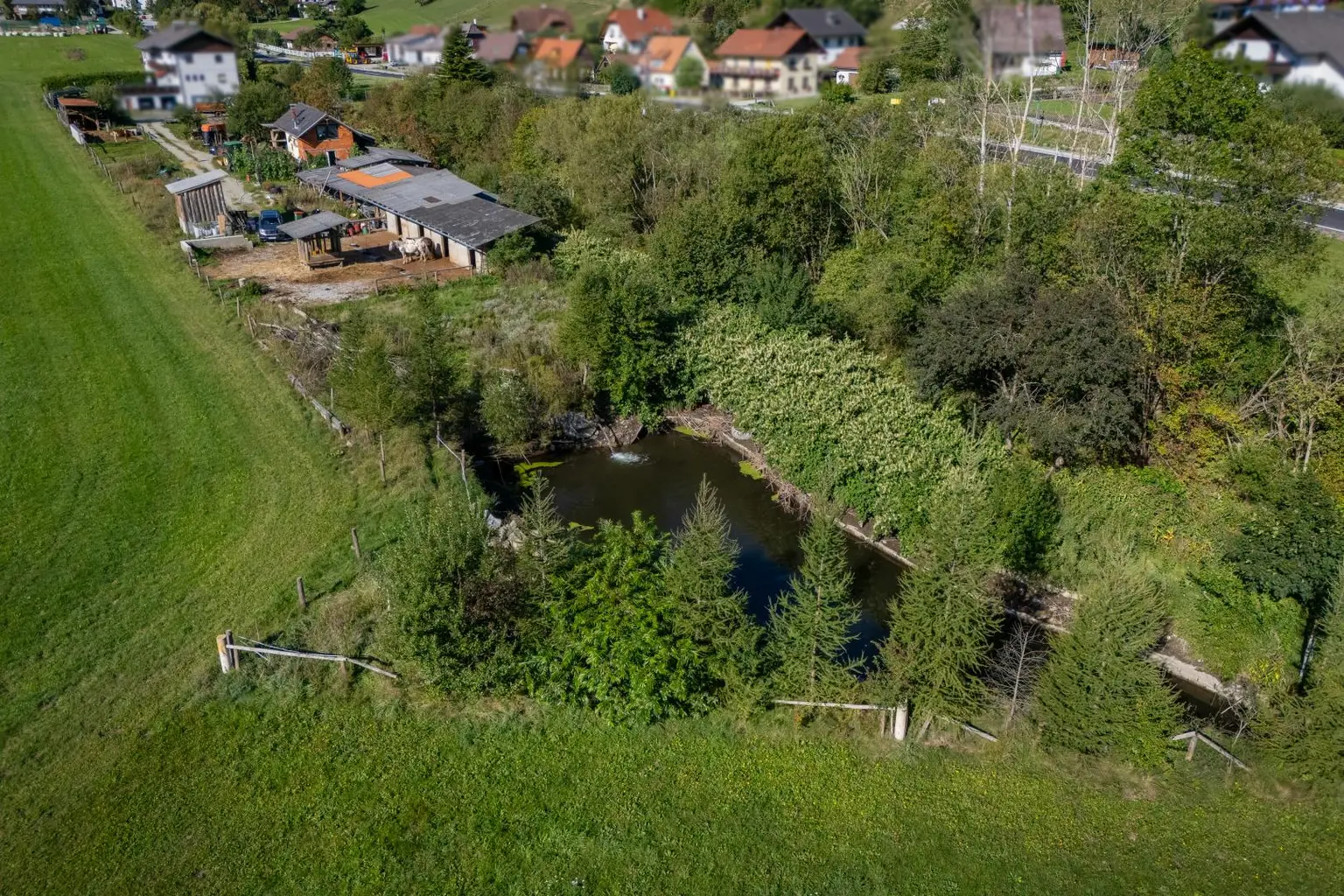 Drohnenansicht mit Schwimmteich