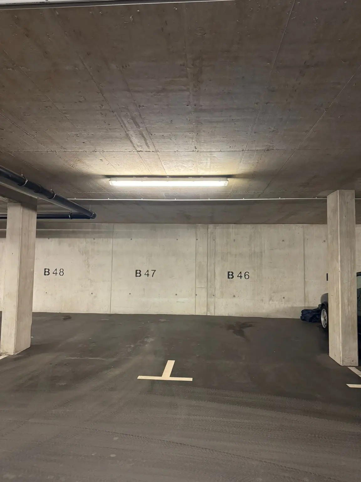 WhatsApp Image 2026-03-06 at 09.30.43.jpeg