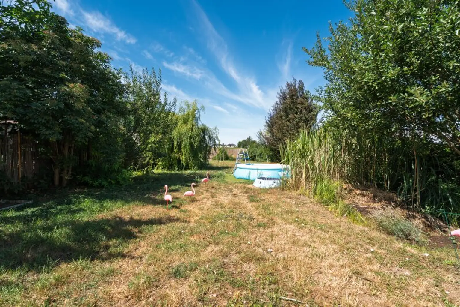 Hinterer Garten