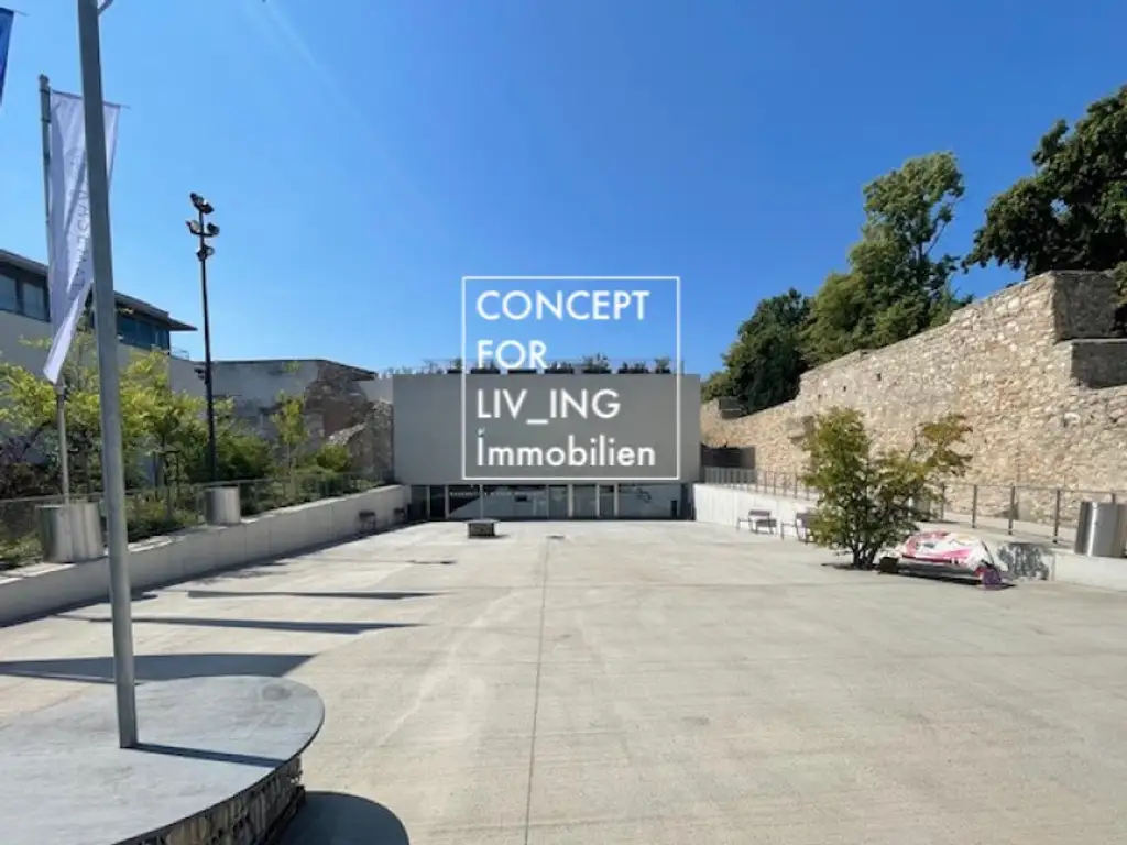 Kleines Zinshaus direkt im Stadtzentrum. Rendite/Anlageobjekt |pure_living
