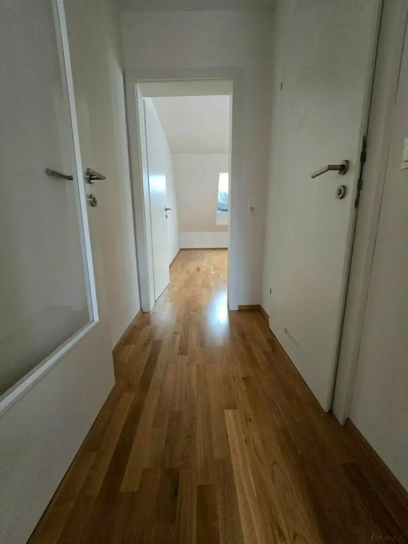 Helle und geräumige 1 Zimmer Wohnung am Südtirolerplatz!