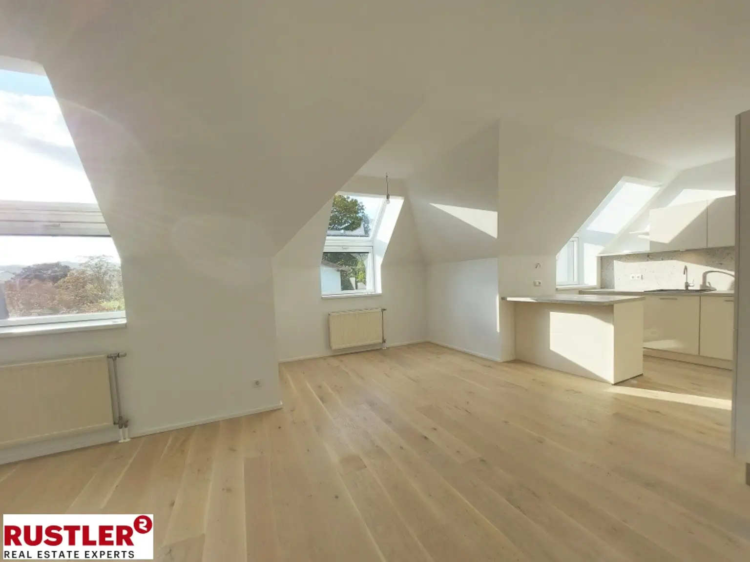 Wohnbereich mit Küch