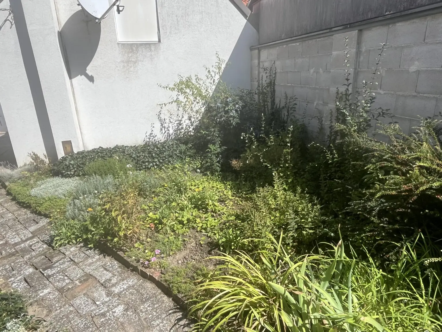 Klein, aber fein und vielleicht bald mein