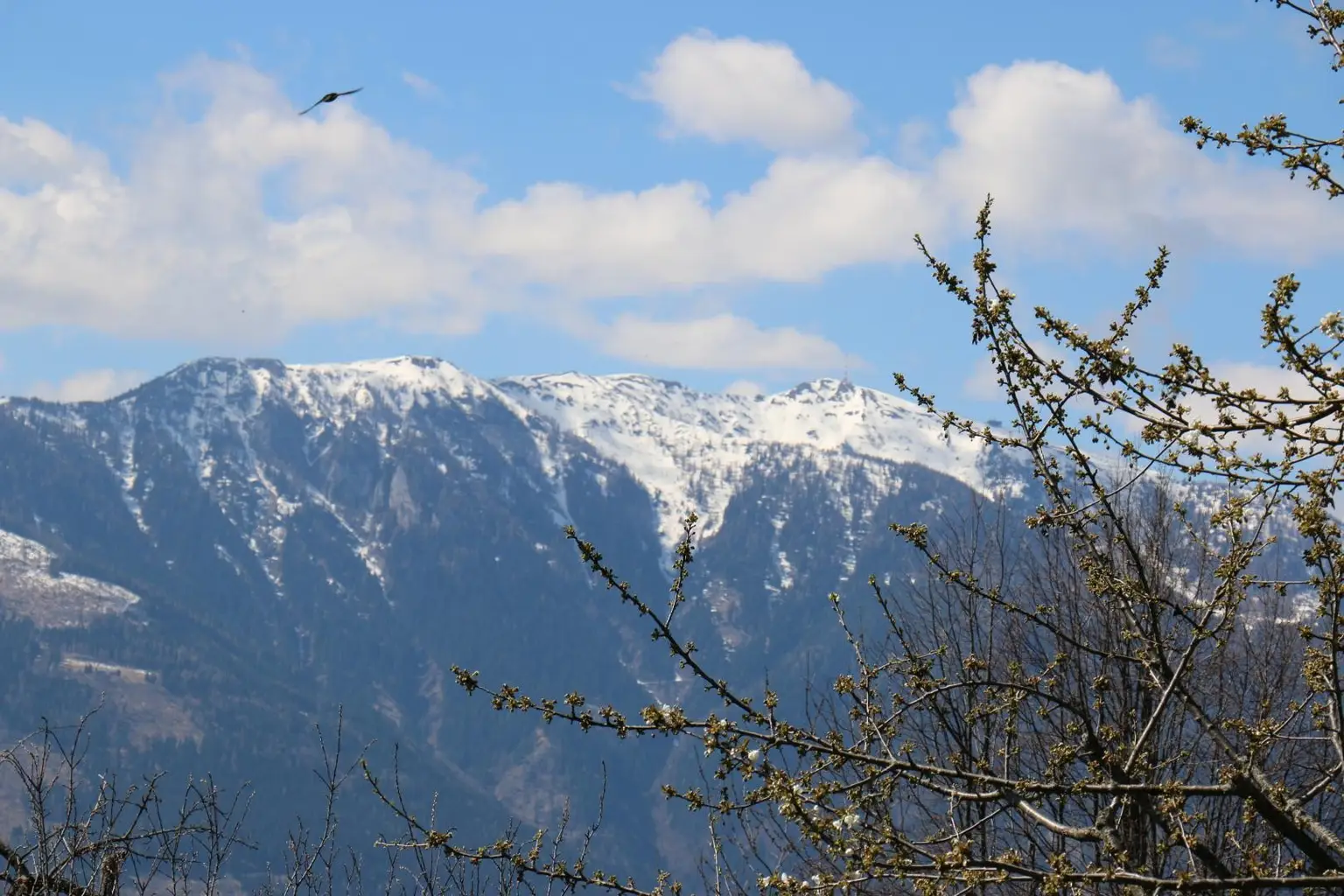Idyllisches Baugrundstück in Obermillstatt – Wohnen, wo andere Urlaub machen