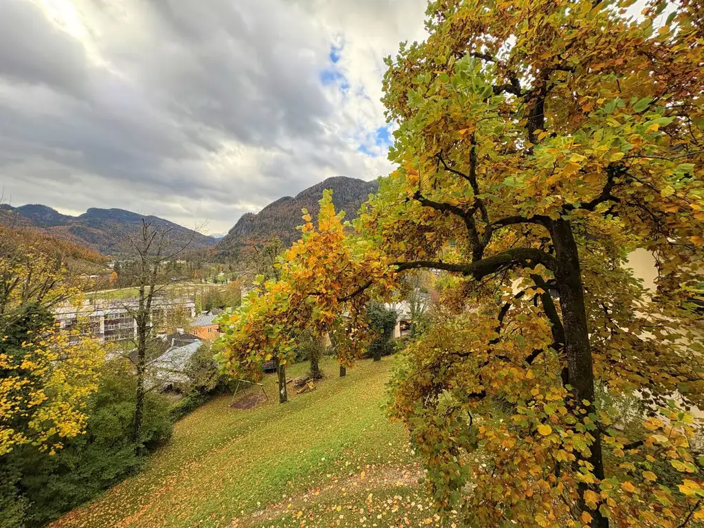 Eigentumswohnung im inneren Salzkammergut