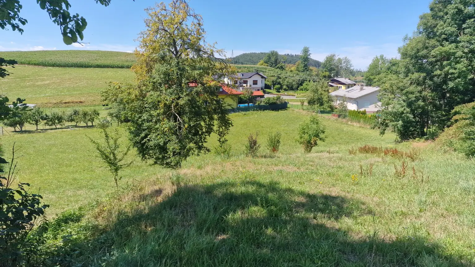 Traumhaftes, ca. 3.109 m² großes Baugrundstück mit Blick auf die Karawanken im Bezirk Völkermarkt