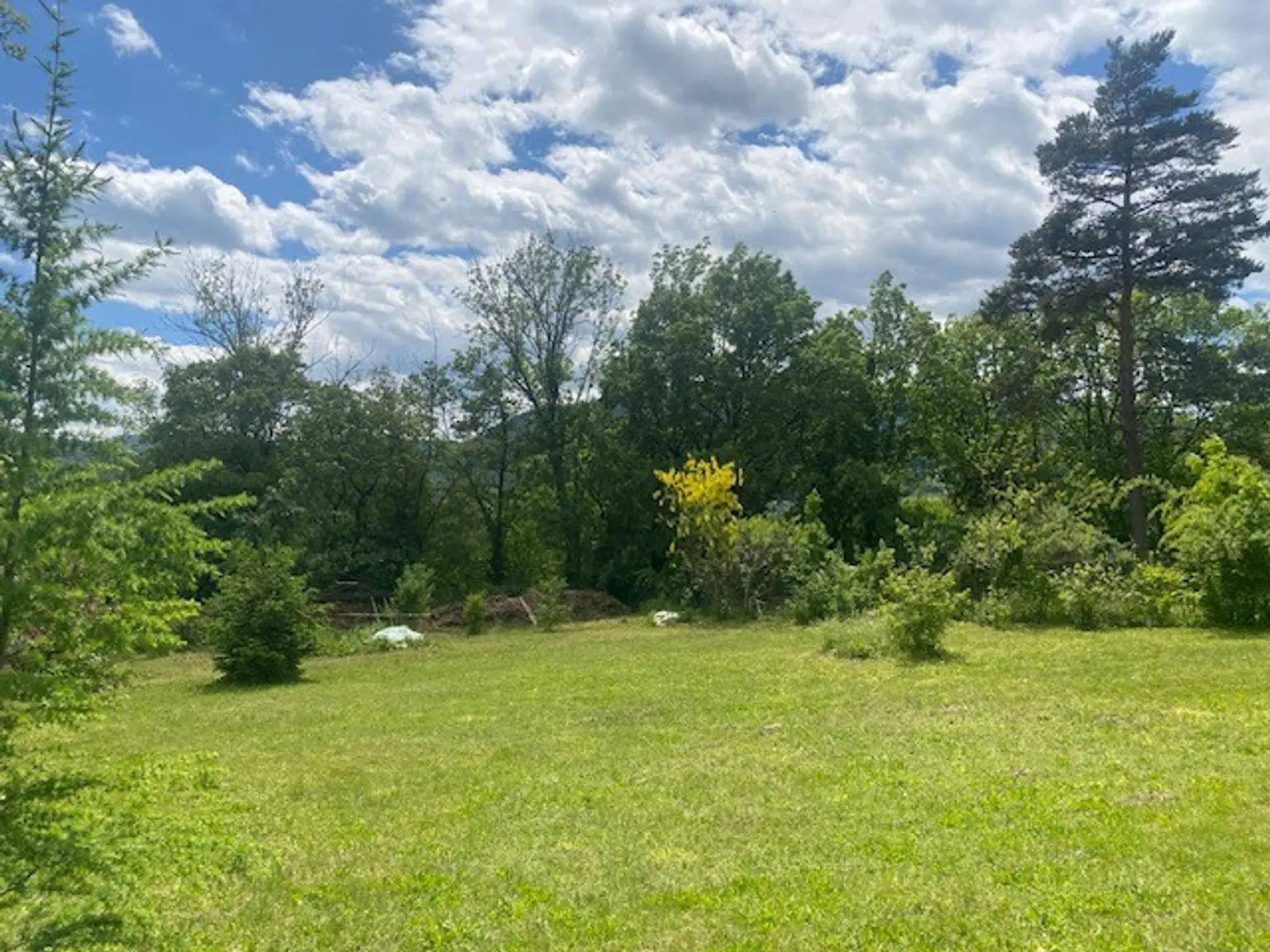 Garten SW-Richtung