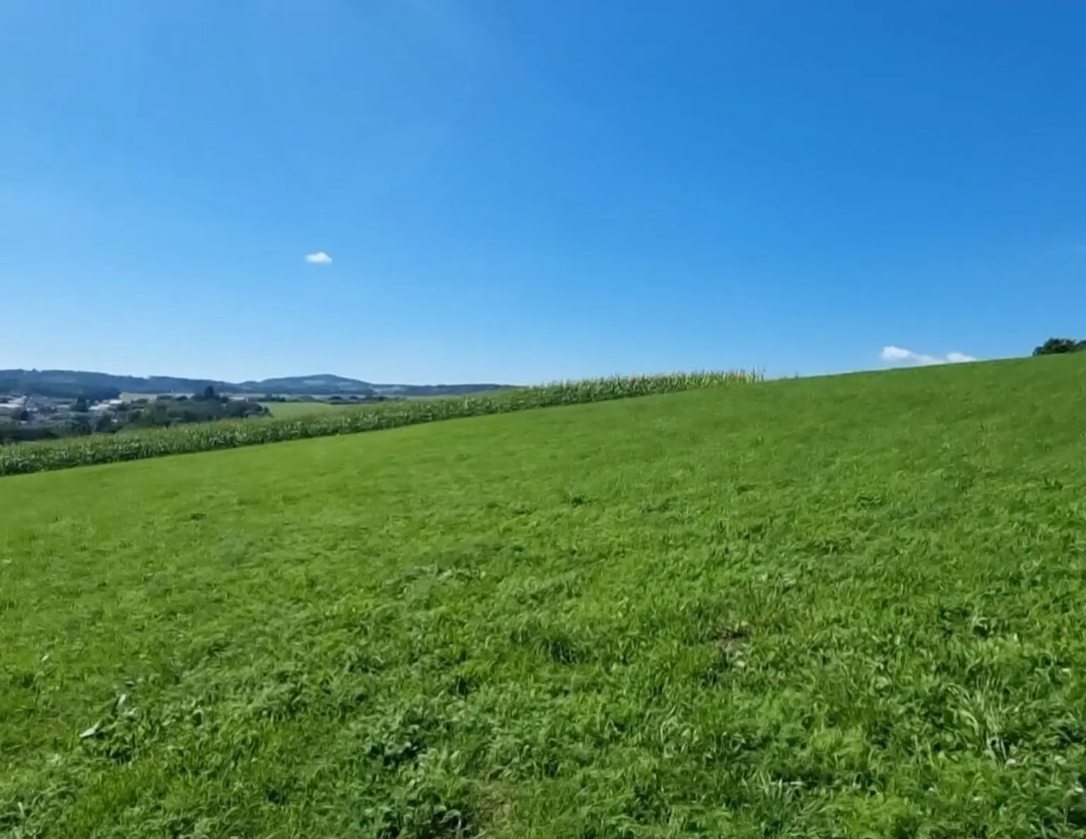 Traumimmobilie mit Fernblick und Grünblick in Bodendorf, OÖ - 903m² Landwirtschaft!