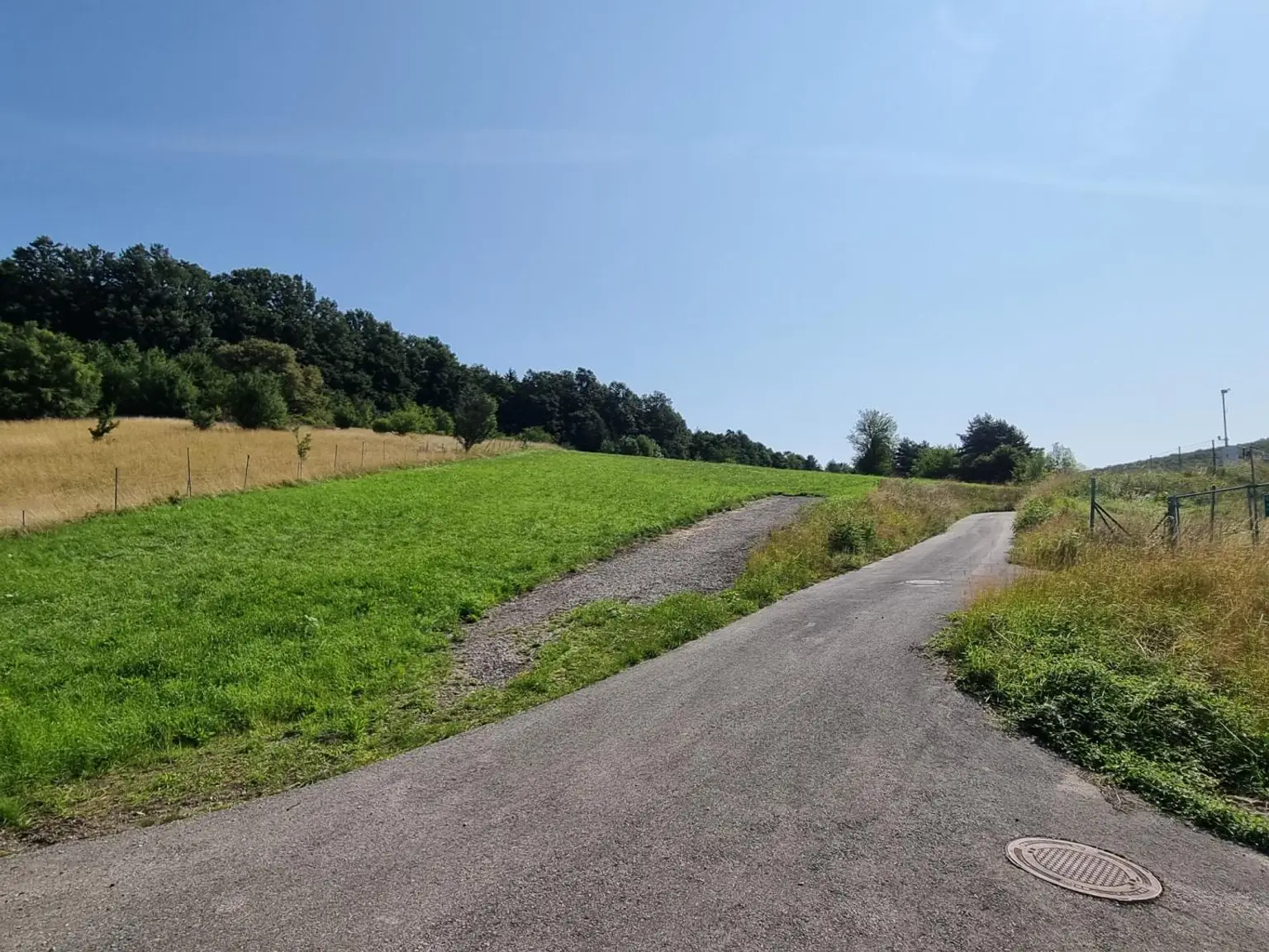 LANDWIRTSCHAFT VOR DEN TOREN WIENS