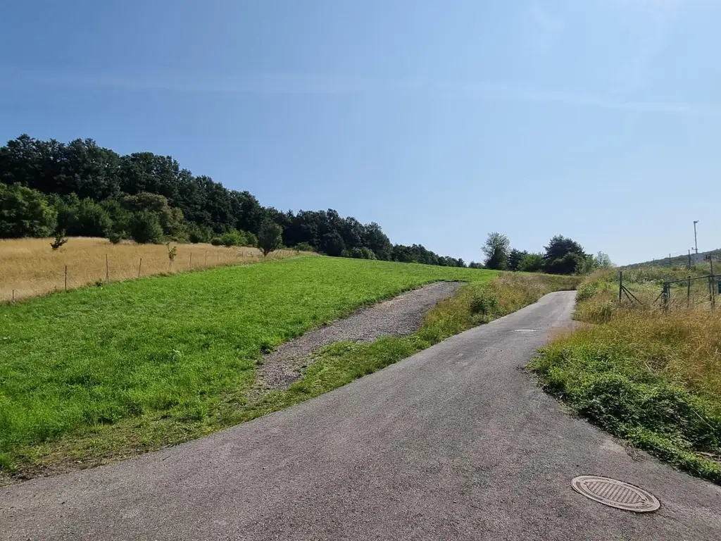 LANDWIRTSCHAFT VOR DEN TOREN WIENS